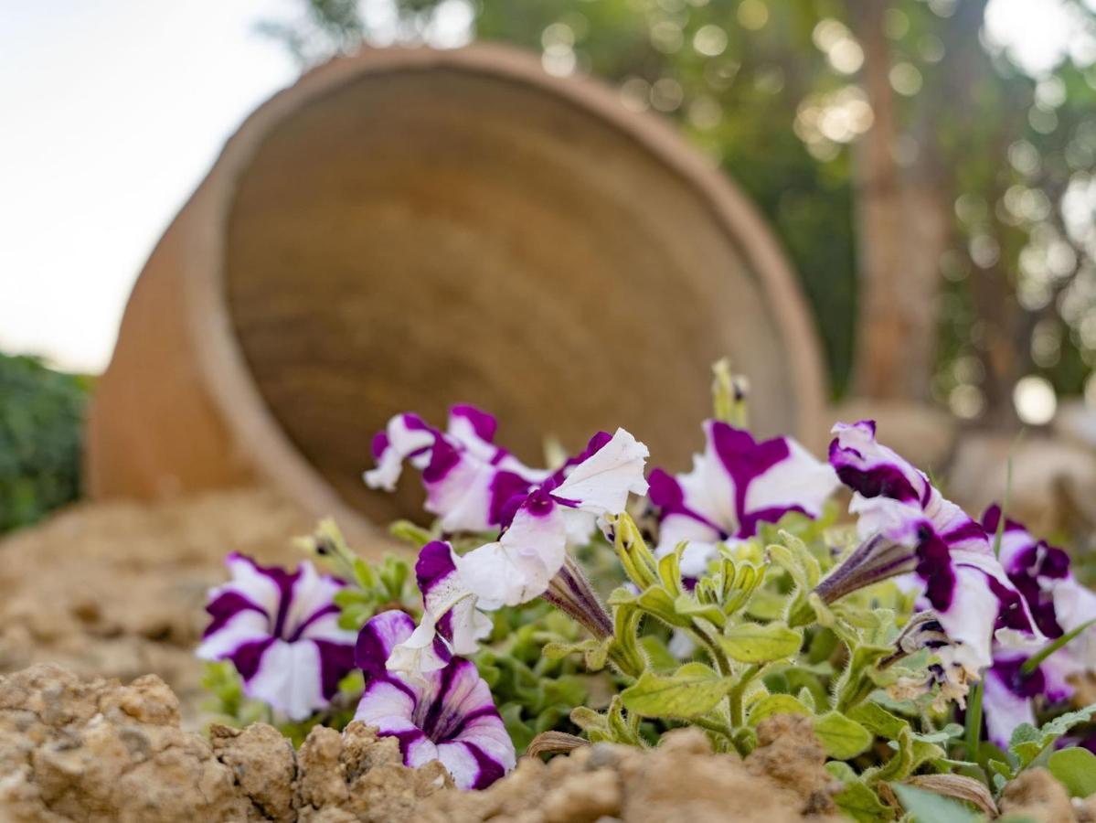Aggel'S House - Stone House - Private Pool - Courtyard - Countryside Views Villa Kato Episkopi Exterior photo